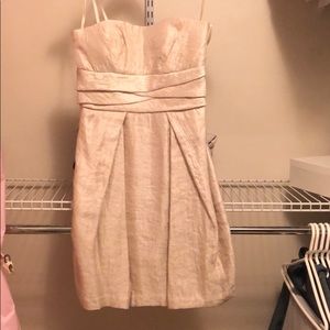 Max & Cleo champaign cocktail dress